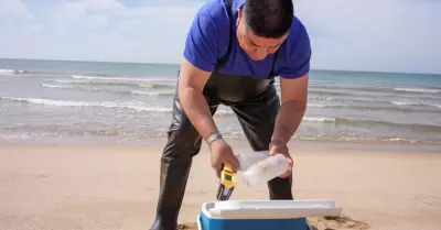 Vigilancia en playas y albercas