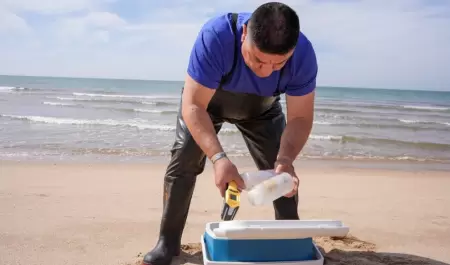 Vigilancia en playas y albercas