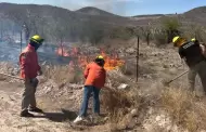 Van 10 incendios forestales en Sonora, en esta temporada