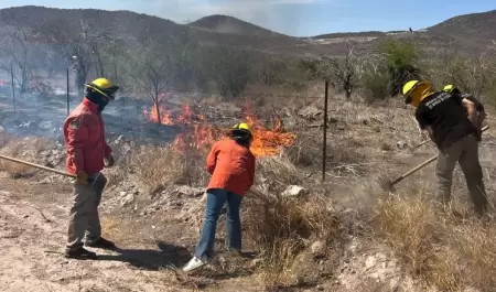 Incendios forestales