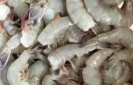 �Confirmado! Veda para la pesca de camar�n se levanta el 22 de septiembre