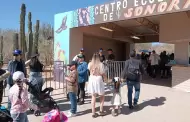 Centro Ecol�gico de Sonora retomar� su horario habitual en octubre