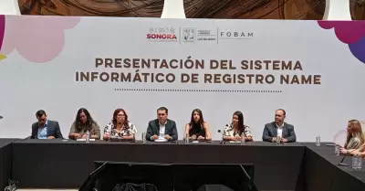 Sistema informático de registro NAME