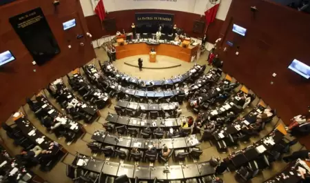 Senado