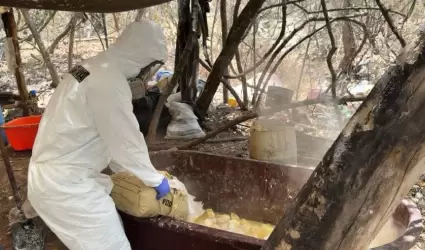 Narcolaboratorio en el poblado de La Palma, Sinaloa