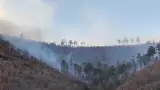 Incendio La Mesa Tres Ros