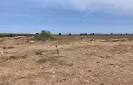 Localizan 11 nuevas fosas clandestinas en Sinaloa