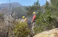 Incrementan brigadistas para combatir incendios forestales en Ncori Chico y Bavispe