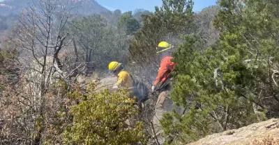 Brigadistas combaten incendio en Ncori Chico