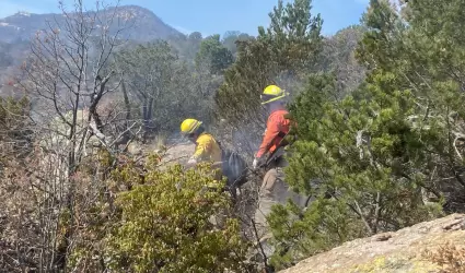Brigadistas combaten incendio en Ncori Chico