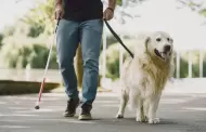 Sabas que hoy es Da Internacional del Perro Gua?
