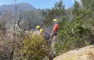 Avanza combate de incendio forestal en Ncori Chico