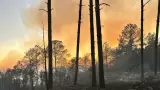 Incendio en sierra de Ncori Chico