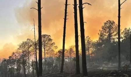 Incendio en sierra de Ncori Chico