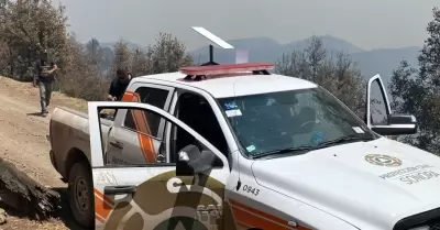 Incendio en sierra de Nácori Chico