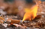 Colillas, fogatas y basura: causas ms comunes de incendios forestales en Sonora