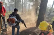 Avanza control del incendio forestal en Ncori Chico