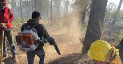 Incendio forestal en Nácori Chico