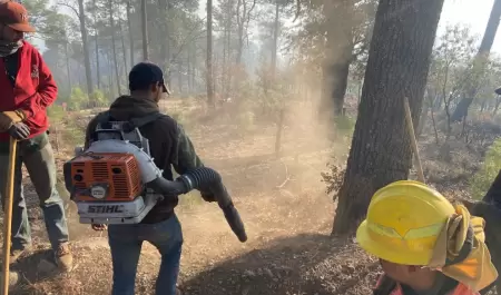 Incendio forestal en Ncori Chico