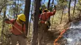 Incendio forestal en Nácori Chico
