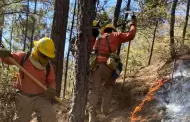 Proteccin Civil explica a qu se debe la falta de apoyo areo en incendio de Ncori Chico