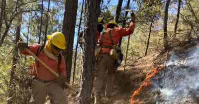 Incendio forestal en Nácori Chico