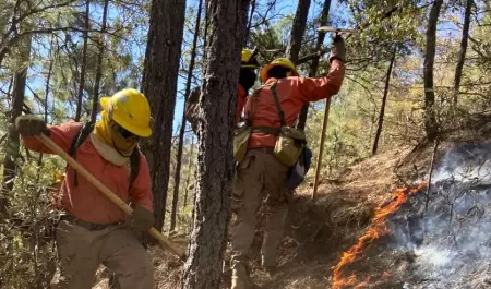 Incendio forestal en Ncori Chico