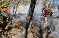 Lluvia y agua nieve ayudan a controlar incendio en Ncori Chico