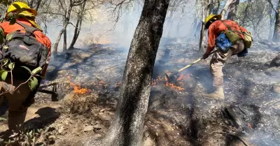 Incendio forestal en Nácori Chico