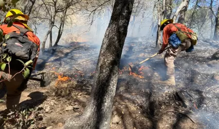 Incendio forestal en Ncori Chico
