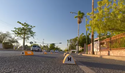 Confibicis