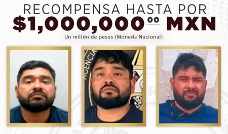 El Ponchis
