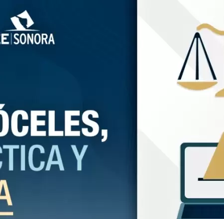 Lanza IEE Sonora simulador de votación