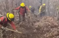 Sonora avanza en el combate de incendios forestales
