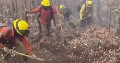 Incendios forestales