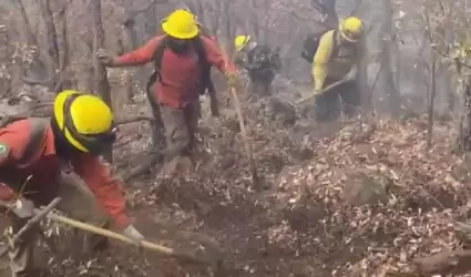 Incendios forestales