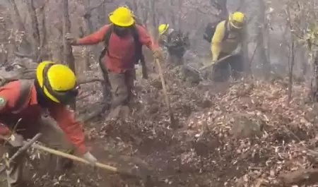 Incendios forestales