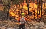 Sonora sube al segundo lugar nacional en superficie afectada por incendios forestales