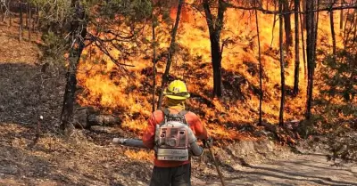 Incendios forestales