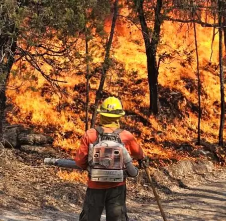 Incendios forestales