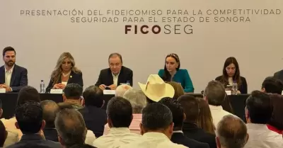 Presentación del Ficoseg
