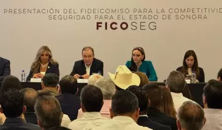 Presentacin del Ficoseg