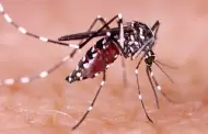 Hermosillo mantiene casos de dengue en cero durante 2025