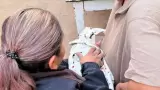 Policías auxilian a mujer que dio a luz