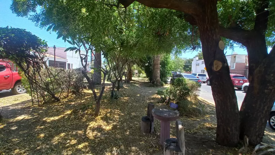 Bosque de la Alegra