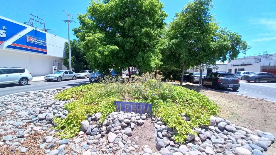 Bosque de la Alegra