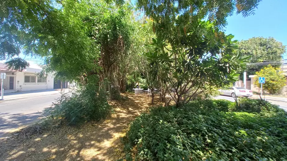 Bosque de la Alegra