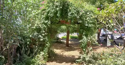 Bosque de la Alegría