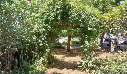 Bosque de la Alegra