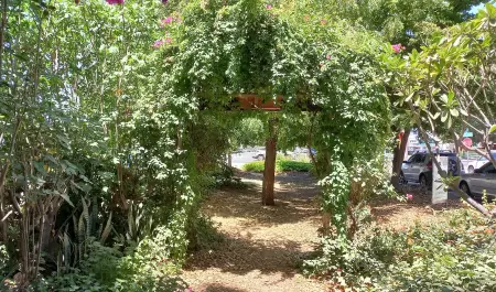Bosque de la Alegra